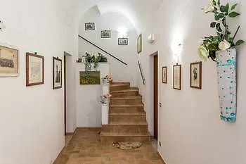 Sognando Te Assisi